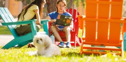 Pitzer students studying on their laptops on the Mounds